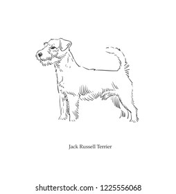 terrier dog sketch