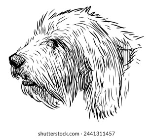 Terrier dog sketch portrait, profile, pet, domestic animal,  head, vector hand drawing isolated on white