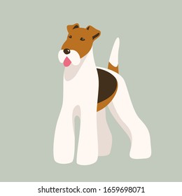 Terrier dog,vector illustration, front view,flat style