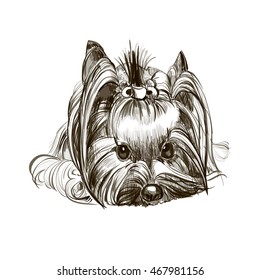 terrier dog.vector.graphic arts