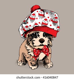 Terrier pup in a beret and with tie. Vector illustration.