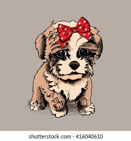 Terrier pup with a ribbon. Vector illustration.