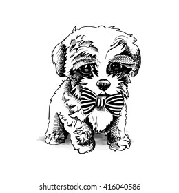 Terrier pup with a tie. Vector illustration.