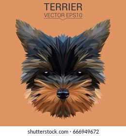 Terrier puppy dog low poly design.Vector Illustration.