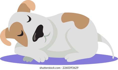 Terrier puppy. The puppy is sleeping
