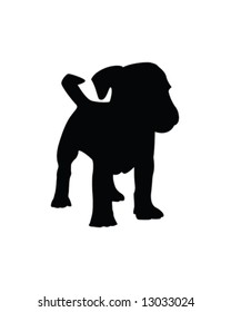 terrier puppy vector illustration