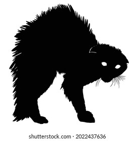 A terrified silhouette of a cat reared up in a semicircle, bristling every hair on its back and tail, its eyes shining brightly with white light in the dark. 2d art on a white background