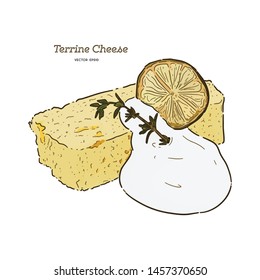 Terrine Cheese cake. A sliced cheesecake with butter cake texture topped with soft mousse cream, hand draw sketch vector.