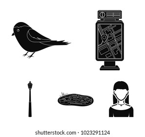 Territory plan, bird, lake, lighting pole. Park set collection icons in black style vector symbol stock illustration web.