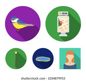 Territory plan, bird, lake, lighting pole. Park set collection icons in flat style vector symbol stock illustration web.