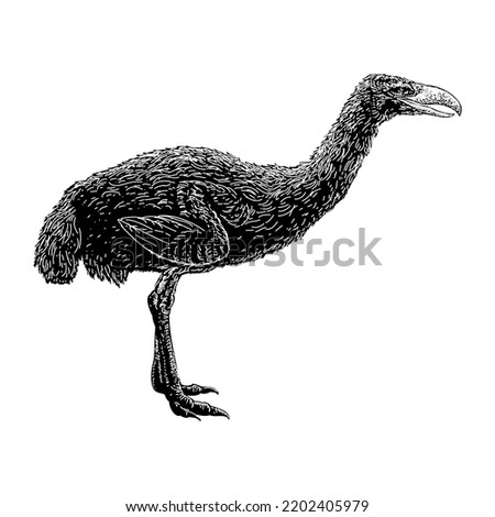 Terror Bird hand drawing vector illustration isolated on white background
