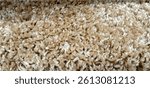 Terry carpet texture vector. Beige rug texture. Brown carpet for bathroom or bedroom. Soft fluffy carpet.