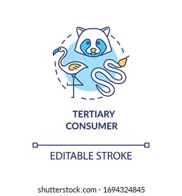Tertiary consumer concept icon. Grazing food chain link. Small carnivores and birds. Natural ecosystem idea thin line illustration. Vector isolated outline RGB color drawing. Editable stroke