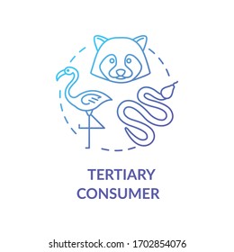 Tertiary Consumer Concept Icon. Weidefutterkette Kleine Fleischfresser und Vögel. Natürliche Ökosystem-Idee dünne Illustration. Vektorillustration einzeln Umriss-RGB-Farbzeichnung