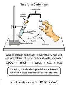 Test for a Carbonate infographic diagram showing a laboratory experiment indicates presence of carbonate ions when adding calcium carbonate to hydrochloric acid for chemistry science education