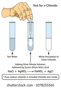 Test for a Chloride infographic diagram showing a laboratory experiment indicates presence of chloride ion when adding silver nitrate solution to sea water for chemistry science education