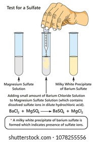 Test for a Sulfate infographic diagram showing a laboratory experiment indicates presence of sulfate ions when adding barium chloride solution to magnesium sulfate for chemistry science education