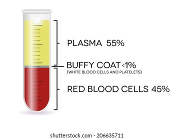 Test Tube With Blood Cells, Plasma, Buffy Coat And Red Blood Cells.