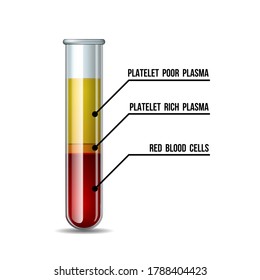 Test tube filled with blood after centrifuge for PRP injection procedures. Platelet-rich plasma laboratory equipment. Regenerative medicine concept. Vector illustration on white background.