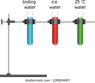 test tube and laboratory Vector  