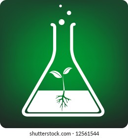 test tube plant