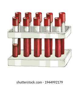 Test tubes with blood samples in holder