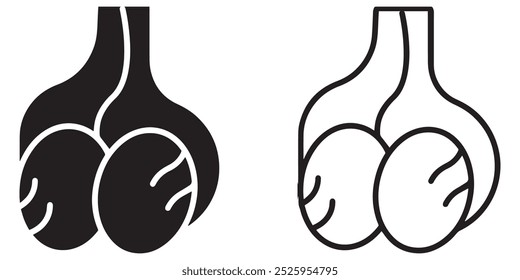 Ícone de testículo. Anatomia dos órgãos reprodutores masculinos. Anatomia do sistema reprodutor humano.