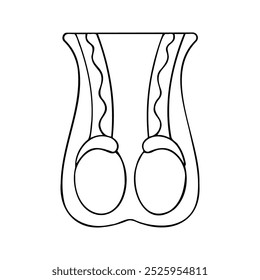 Ícone de testículo. Anatomia dos órgãos reprodutores masculinos. Anatomia do sistema reprodutor humano.