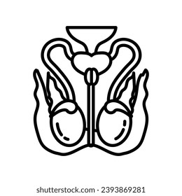 Testicle Nerve icon in vector. Logotype