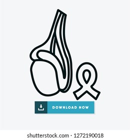 Testicle vector icon
