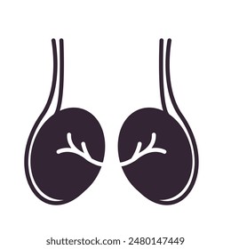 testicles icon, human body anatomy