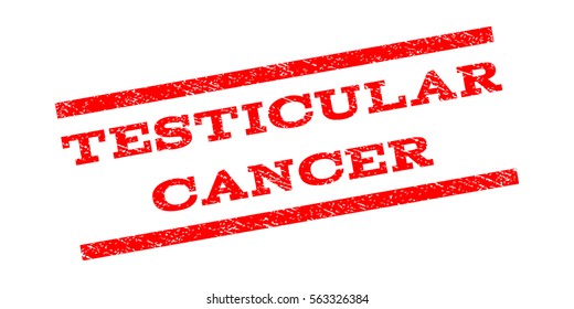 Testicular Cancer watermark stamp. Text caption between parallel lines with grunge design style. Rubber seal stamp with dirty texture. Vector red color ink imprint on a white background.