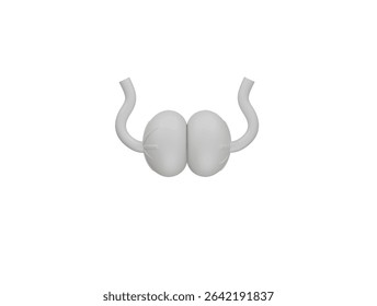 Testiculos icon 3d illustration render
