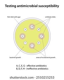 Teste de susceptibilidade antimicrobiana (teste de difusão do disco)