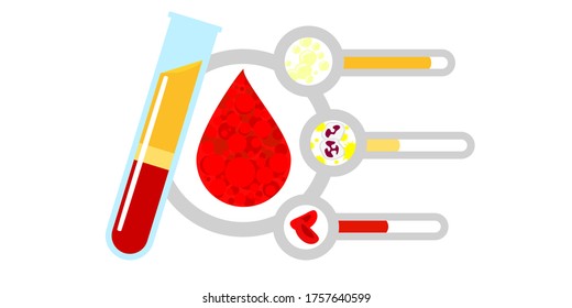 testing by separating blood components such as red blood cells, white blood cells, platelets and blood water by showing the volume in the form of test tubes and graphs - white background(Vector style)