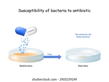 Testing the susceptibility of bacteria to antibiotics, and effectiveness of antibiotics on a specific microorganism. bacteria growing in a Petri dish. Experiment. vector illustration