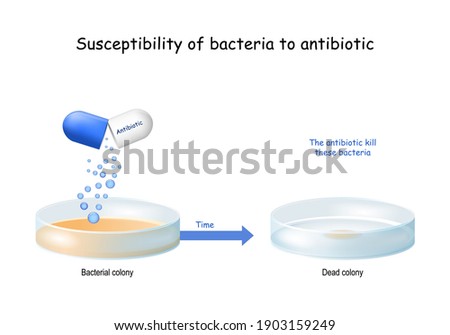 Testing the susceptibility of bacteria to antibiotics, and effectiveness of antibiotics on a specific microorganism. bacteria growing in a Petri dish. Experiment. vector illustration