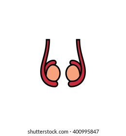 Testis Icon