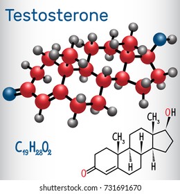 Testosterone (anabolic steroid.) - structural chemical formula and molecule model. Vector illustration