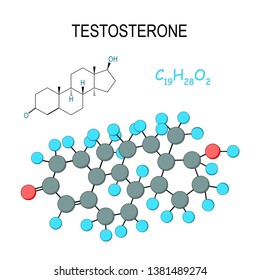 Testosterone Chemical Structural Formula Model Molecule Stock Vector ...