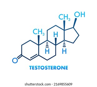 Testosterone Formula Vector Thin Line Icon Stock Vector (Royalty Free ...