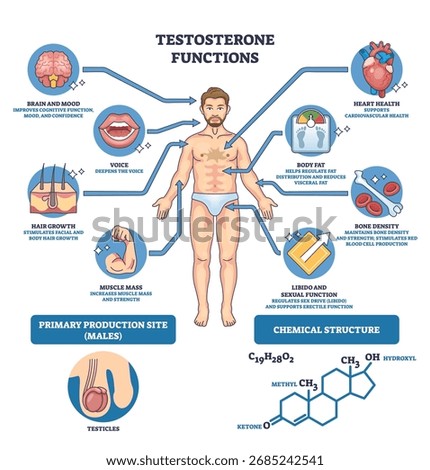 Testosterone functions graphic illustrating a male body with brain, heart, and muscle icons to explain effects on mood, health, and strength. Outline diagram