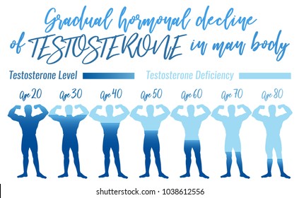 Testosterone Normal Levels Chart