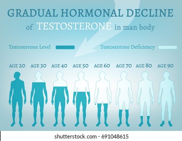 Testosterone Hormone Level. Beautiful medical vector illustration in blue colours. Scientific, educational and popular-scientific concept. Usieful medical infographic.