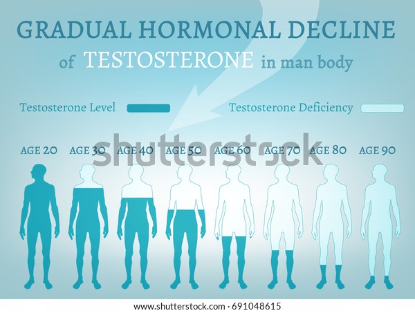 Testosterone Hormone Level.\
Beautiful medical vector illustration in blue colours. Scientific,\
educational and popular-scientific concept. Usieful medical\
infographic.