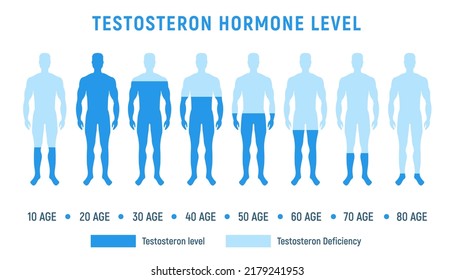 Testosterone level therapy hormone male balance science fertility illustration low level testosterone hormone level