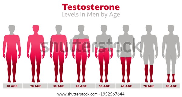 testosterone-levels-rates-body-men-600w-1952567644.jpg