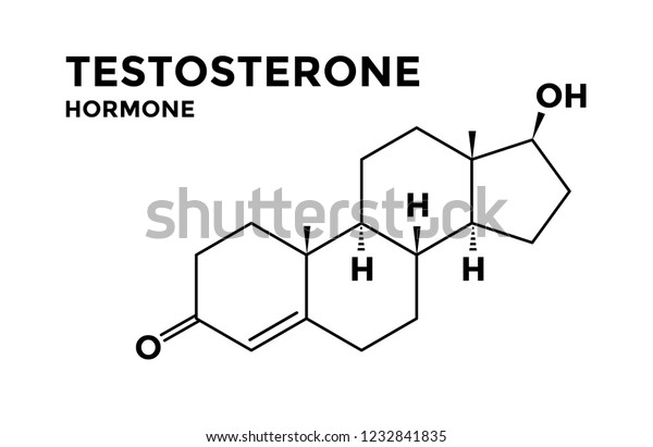 Testosterone Male Hormone Structural Chemical Formula Stock Vector ...