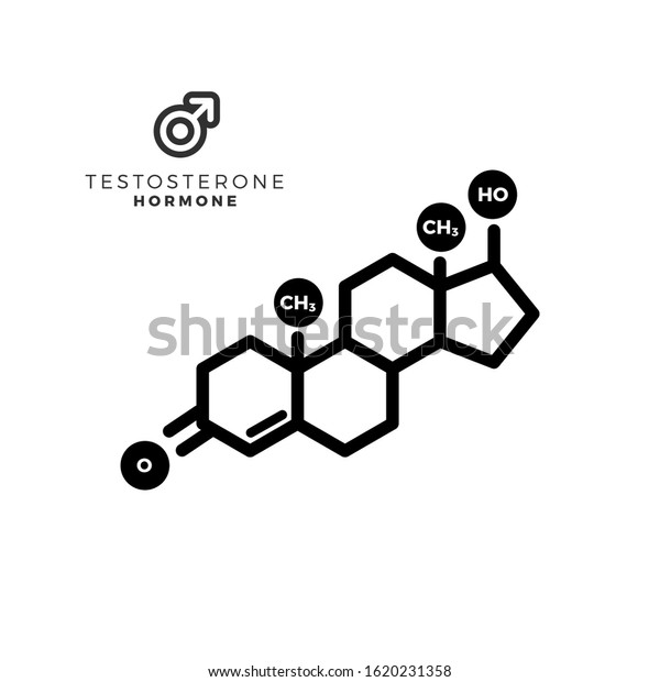 Testosterone Male Sex Hormone Molecule Isolated Stock Vector Royalty Free 1620231358 