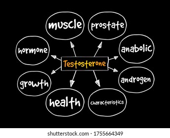 Testosterone mind map, medical concept for presentations and reports